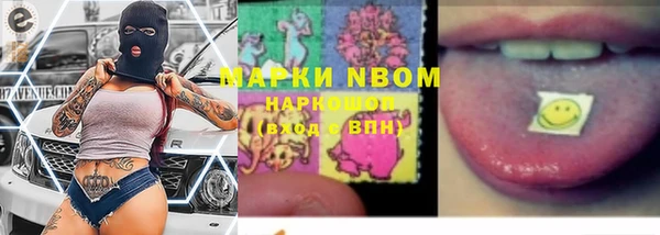 стафф Новоузенск
