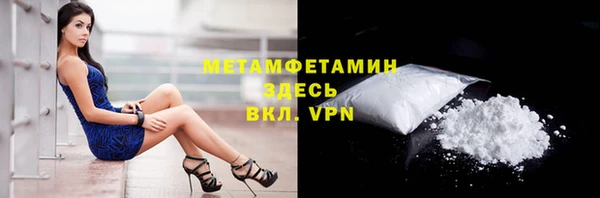 стафф Новоузенск