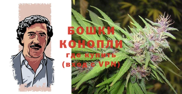 стафф Новоузенск