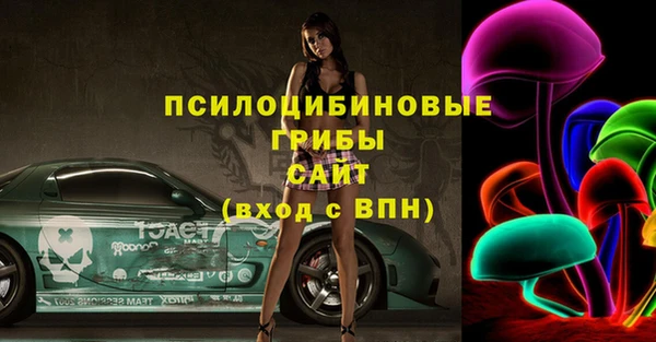 стафф Новоузенск