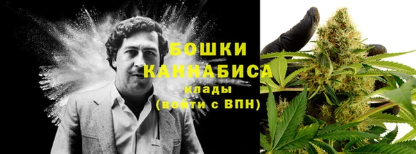 стафф Новоузенск