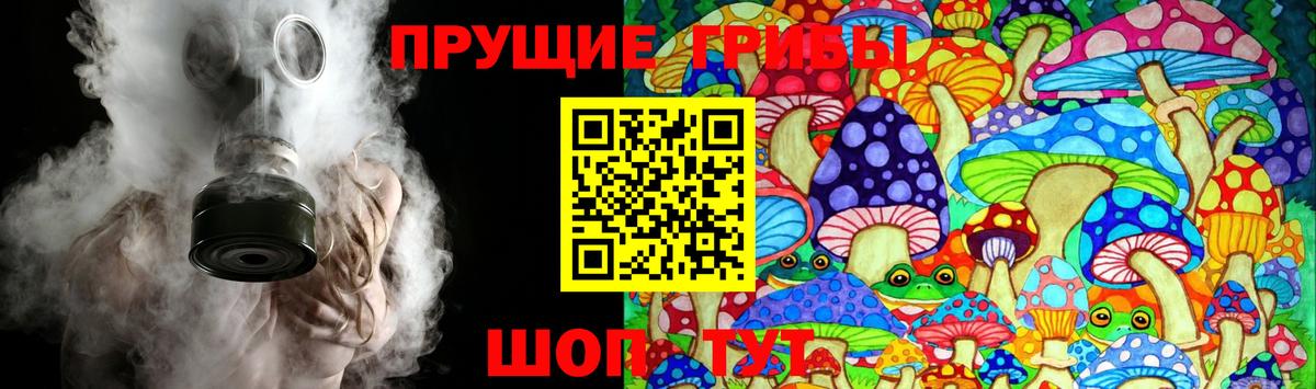 Усолье-Сибирское  Псилоцибиновые грибы мицелий  Вход с VPN 